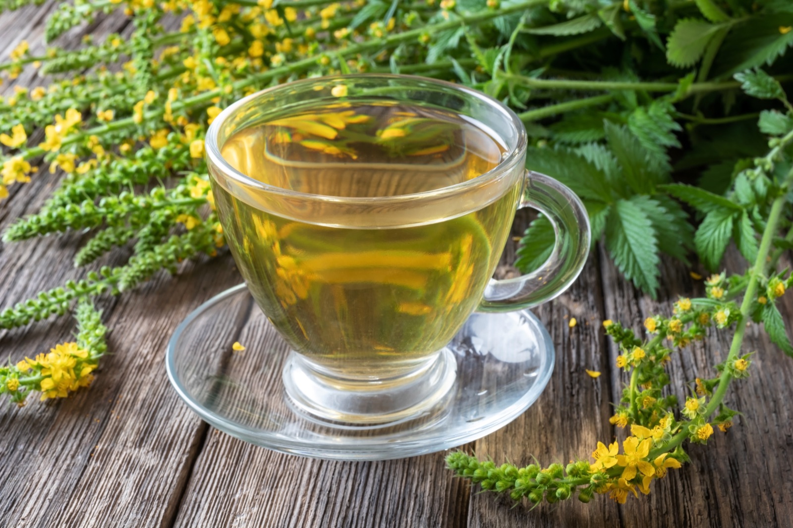Glass cup of herbal tea on a wooden table surrounded by fresh flowering herbs